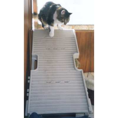 HalfSTEP II - Multi-Purpose Ramp