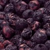 Lindon Farms 300 Freeze Dried Fruits